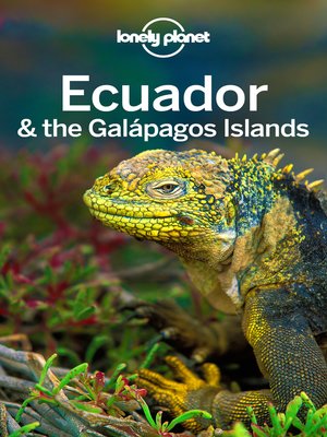 ecuador & the galapagos islands travel guide